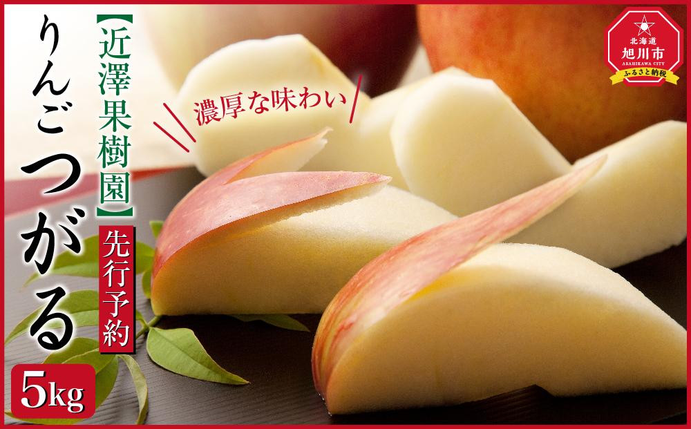 
            【先行予約】近澤果樹園 りんご「つがる」5kg（2025年10月上旬より発送予定）【 果物 くだもの フルーツ デザート 旬 お取り寄せ 甘い 北海道産 人気 ランキング 北海道 旭川市 産地直送 】_01177
          
