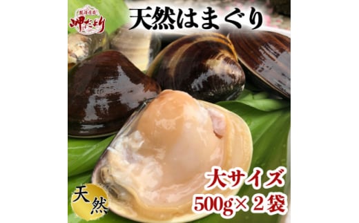 【先行予約】 希少 天然 はまぐり 大サイズ 500g×2袋 岬だより 冷凍 はまぐり 天然貝 魚貝 海鮮 魚介 新鮮 はまぐり 蛤 ハマグリ 蛤鍋 はまぐり はまぐり鍋 ふるさと納税貝 ふるさと納税はまぐり ふるさと納税ハマグリ ふるさと納税蛤 人気 おすすめ 愛知県 南知多町