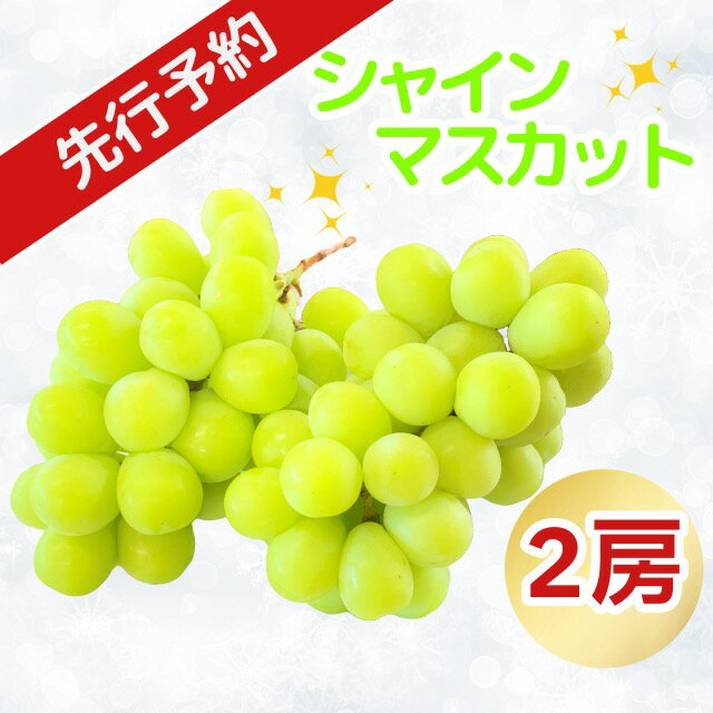 【ふるさと納税】＜先行予約＞ 北信州産シャインマスカット2房(7-A21)＜出荷開始：2025年9月上旬頃～下旬頃＞【 フルーツ 葡萄 ぶどう 長野県 飯山市 ギフト プレゼント 記念日 誕生日 父の日 母の日 敬老の日 記念品 シャイン マスカット 残暑見舞い】