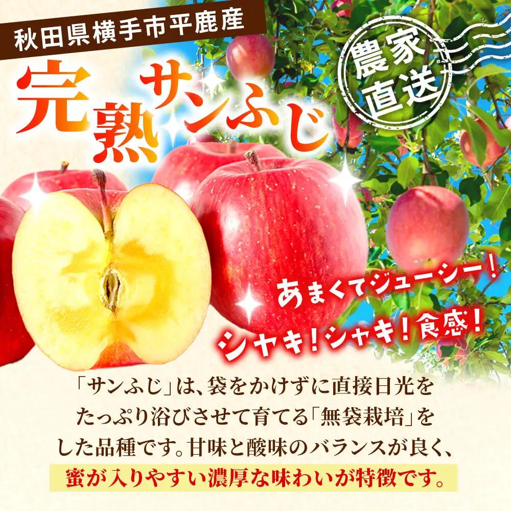 【先行受付】11月下旬より発送 完熟サンふじ秀品 約10kg（32～40個入）りんご