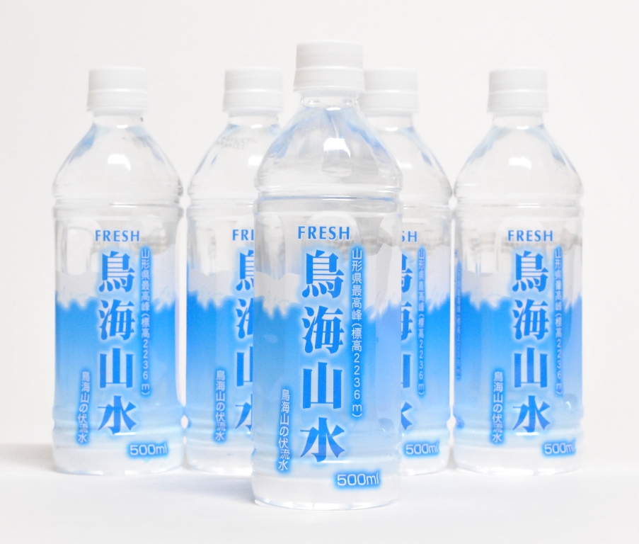 SB0009 鳥海山水　500ml×24本入り　2ケース