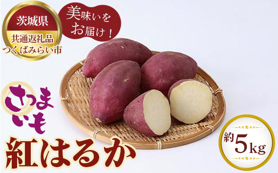 さつまいも　紅はるか　約5kg【茨城県共通返礼品 つくばみらい市】