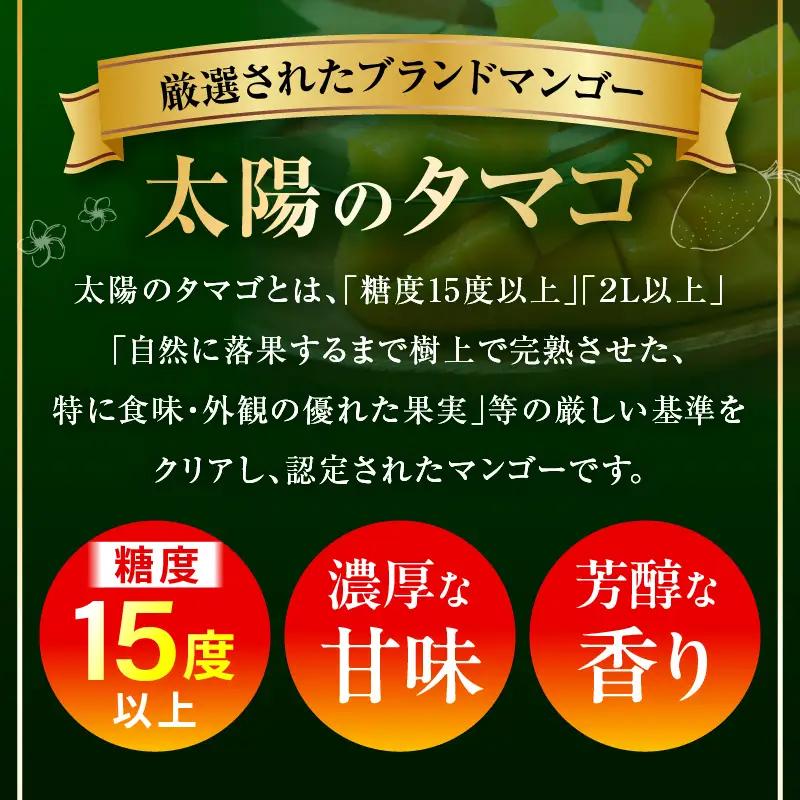 マンゴー 太陽のタマゴ 定期便 マンゴー[全3回 2027年発送先行予約 数量・期間限定]