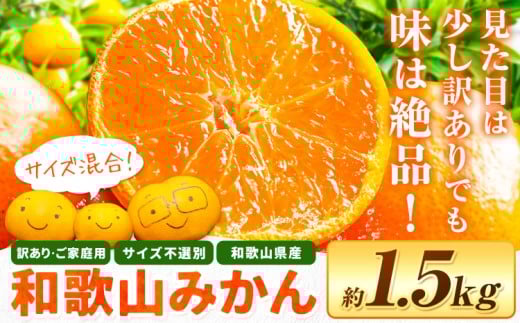 みかん 和歌山育ちの 訳あり 濃厚みかん 約1.5kg 和歌山県 日高川町 柑橘類 柑橘 果物 フルーツ ミカン 訳ありみかん 家庭用 お試し お取り寄せフルーツ みかん