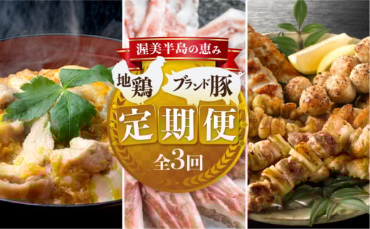 渥美半島の恵み ブランド豚・地鶏 定期便 全3回 (田原ポーク / 名古屋コーチン 焼鳥 / 親子丼)