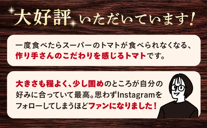 トマト 高糖度 【 訳あり 】 糖度8度以上！ 大島 トマト 約1.8kg＜大島造船所 農産グループ＞ [CCK007] 長崎 西海 トマト とまと 大島トマト 高糖度 贈答 不揃い 訳あり