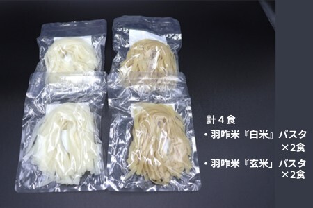 自然栽培こしひかり 羽咋米を使った米粉のパスタ麺【白米麺×2、玄米麺×2】 