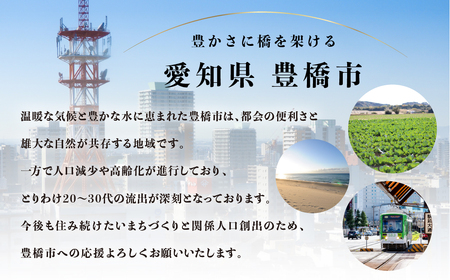 返礼品無しの寄附 2000000円