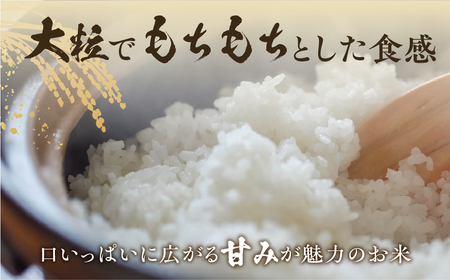 【玄米】特別栽培米 ゆうだい21 5kg 米 5キロ 玄米 阪口農園