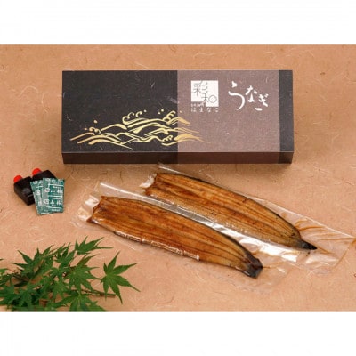 【国産】浜名湖うなぎ蒲焼き110g以上　2本セット(たれ・山椒付き)【配送不可地域：離島】【1487458】