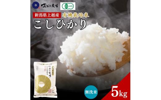 
                  令和7年産 新潟県上越産 有機栽培米 コシヒカリ 【無洗米】 5kg 5キロ 精米 JAS有機栽培 こしひかり おおた農場 上越市
                