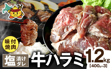 牛ハラミ 塩漬けダレ 1.2kg (400g×3pc) a163-010