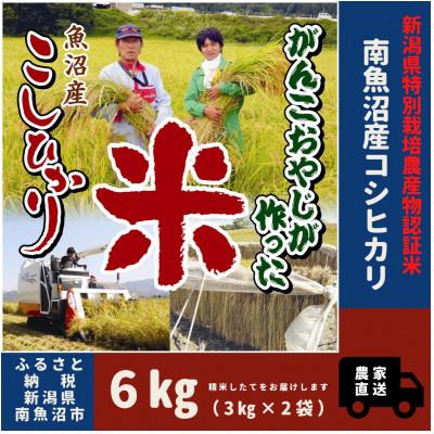 ふるさと納税 南魚沼市 【令和7年産】特別栽培米　がんこおやじが作った南魚沼産コシヒカリ　白米6kg(3kg×2袋)