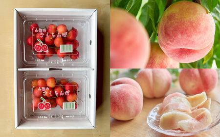 【定期便4回】山形人気フルーツベスト4！ お福分け定期便パート2【令和8年産先行予約】FS25-131