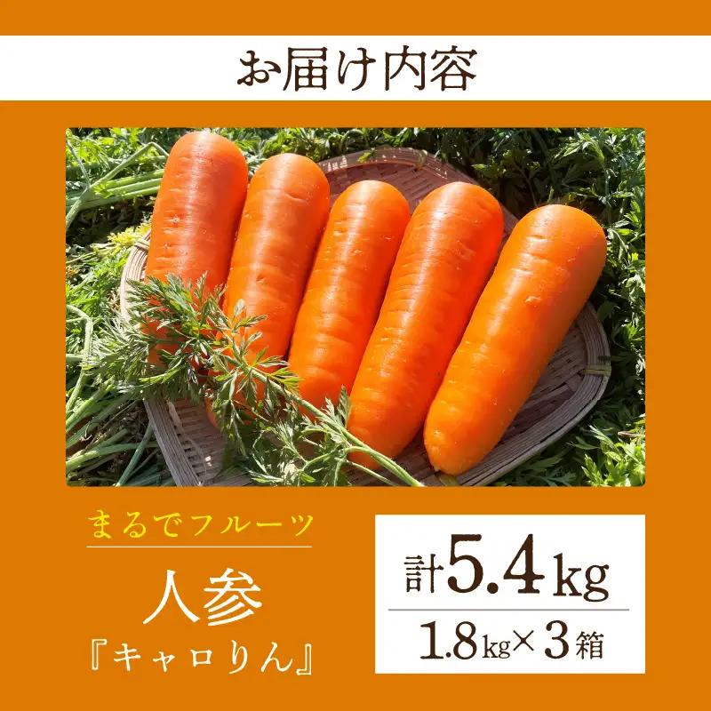  人参『キャロりん』（1.8kg×3箱）合計5.4kg・H107