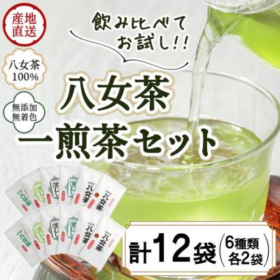 ふるさと納税 八女市 八女茶100% 飲み比べも楽しいお試しセット12袋! 急須1回分7gが12袋
