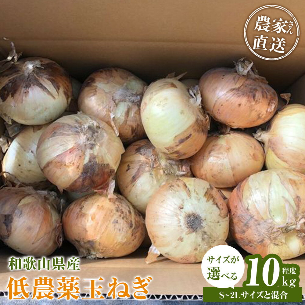 【ふるさと納税】［選べるサイズ］［2026年発送分・先行予約］農家さん直送 低農薬玉ねぎ S~2Lサイズ 10kg程度［4月中旬～7月中旬頃発送予定］ | たまねぎ 低農薬 玉ねぎ 野菜 やさい 食品 人気 おすすめ 送料無料