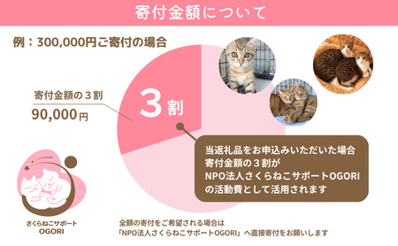 保護猫活動を応援！ 返礼品無し 300,000円（お礼状送付） 保護猫