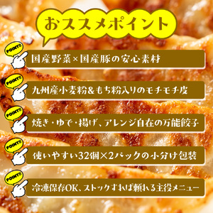 お肉屋の特製生餃子　64個セット（32個×2ｐ）　AO142