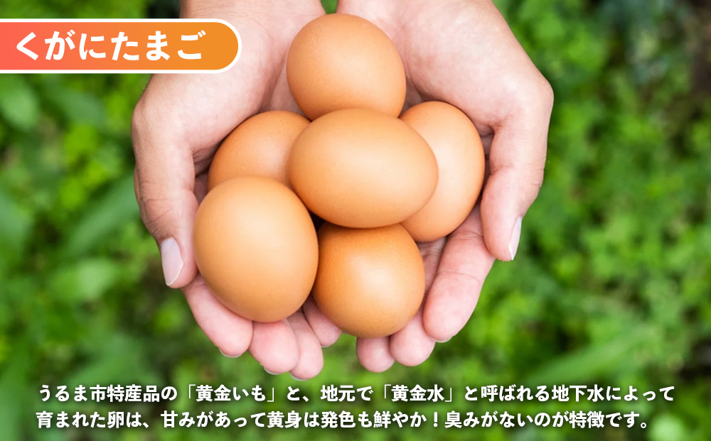 黄金（くがに）セット《くがにたまご物語＋くがにたまご6個入り×2》