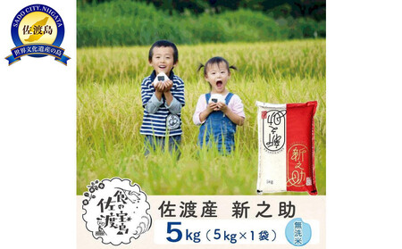 【新米予約】佐渡島産 新之助 無洗米5kg×1袋