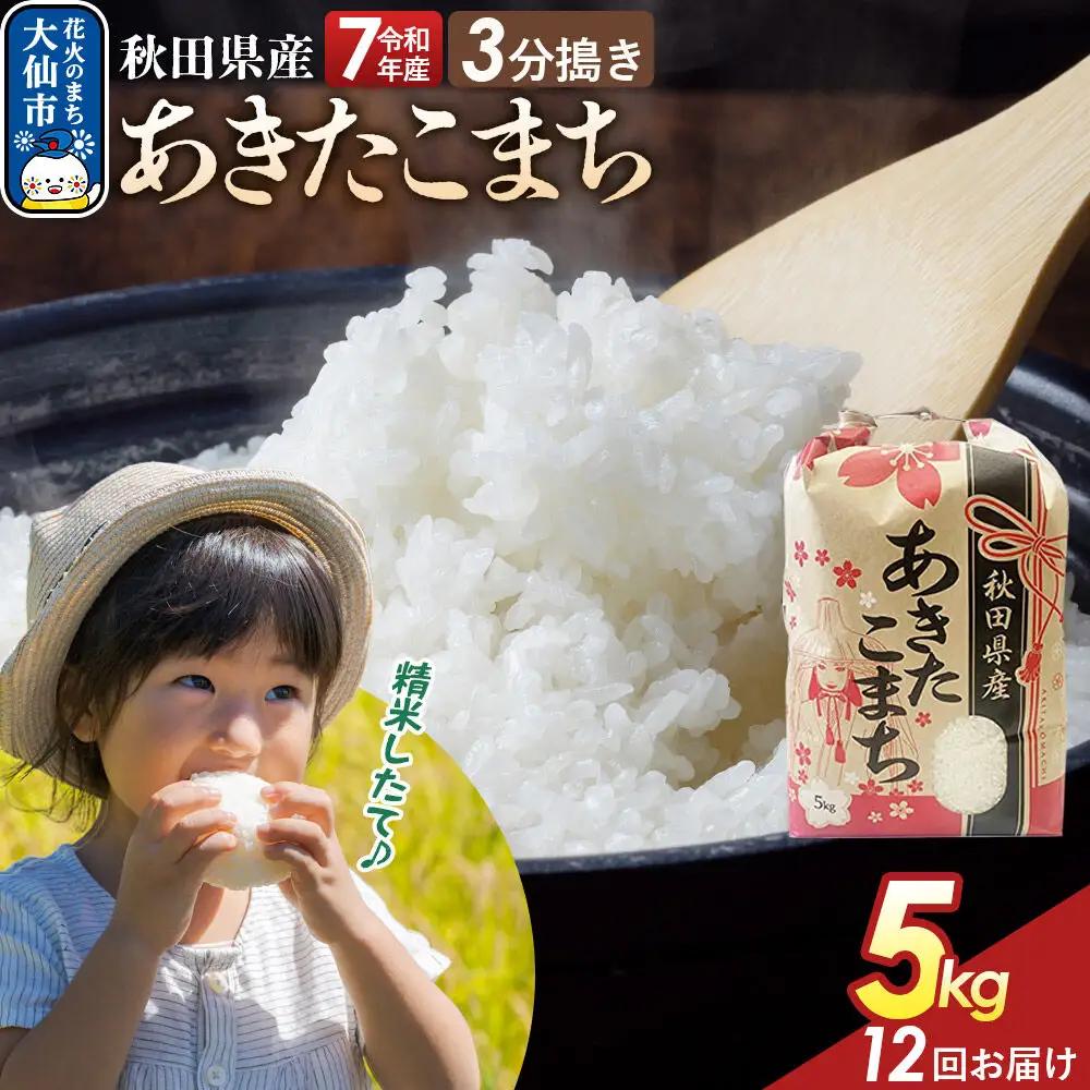 《定期便12ヶ月》【3分搗き】あきたこまち 5kg 秋田県産 令和7年産 こまちライン 秋田県 大仙市産