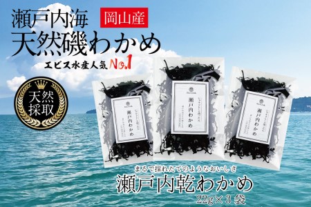 わかめ 風味豊かな 瀬戸内 わかめ 22g×3袋 乾燥
