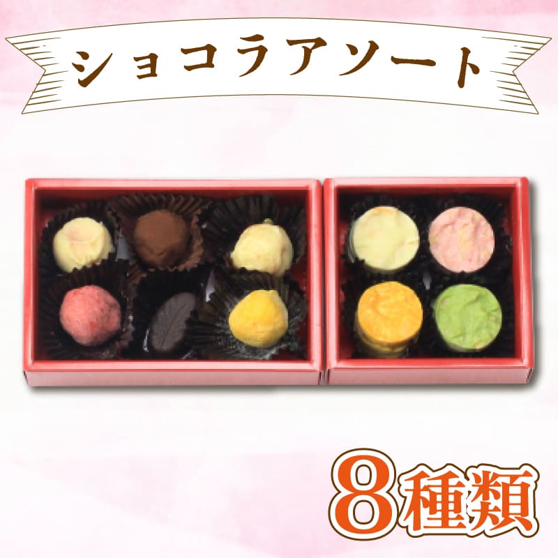 【ふるさと納税】 チョコ セット 詰め合わせ スイーツ ショコラ アソート ギフト 贈答品 IRODORI ICHIBA 阿波市 徳島県