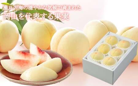 岡山白桃 ロイヤル 4～8玉 約1.2kg 岡山県産 （早生種・中生種） 【2026年7月上旬～8月下旬迄発送予定】 ／ 白桃 桃 もも 果物 果実 フルーツ 岡山県 美咲町 冷蔵