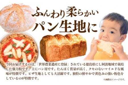 強力粉 1.5kg 美馬市産 《30日以内に発送予定(土日祝除く)》  実森ラボラトリー株式会社 自家製小麦のお店mimori 送料無料 徳島県 美馬市 お菓子 パン 小麦