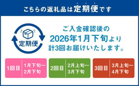 【3回定期便】あまおう 3パック あまおう いちご イチゴ 苺 果物 くだもの フルーツ【2025年1月下旬～3月下旬発送予定】