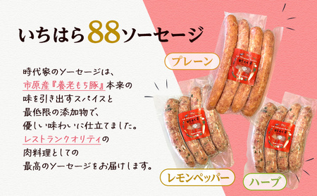 全8種盛り合わせ（ロースハム、ベーコン、チャーシュー各250g）のしあり商品 冷凍 小分け 詰め合わせ セット おかず おつまみ 市原市 千葉