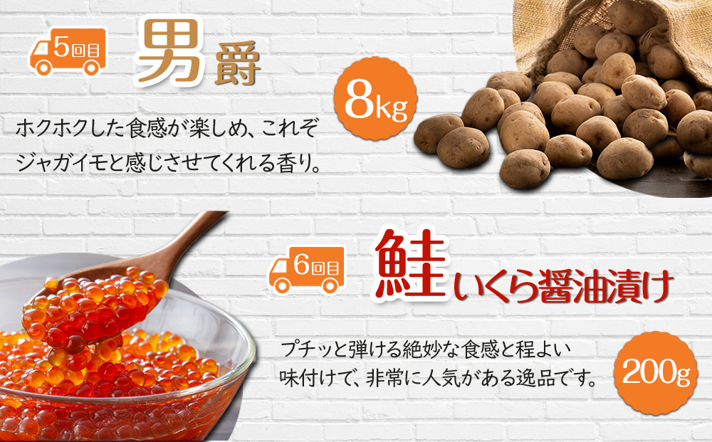 【26年5月発送開始】かに太郎 定期便Mセット（アスパラ、赤肉メロン、ライオンコーン、白くまコーン、男爵、無添加鮭イクラ醤油漬け）全6回 _03826