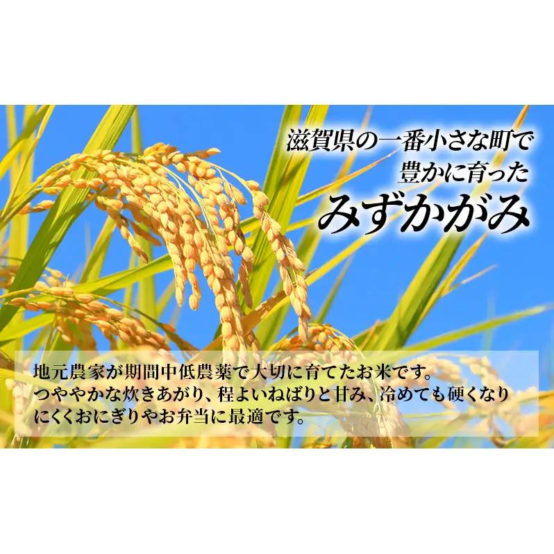 お米 みずかがみ 5kg 精米 定期便 5ヶ月 お米