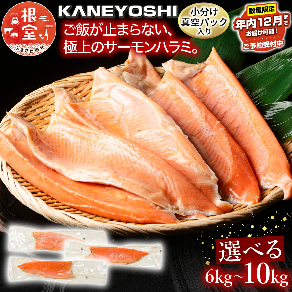 【ふるさと納税】 旨塩とろサーモンハラミ 選べる 6kg ~ 10kg さけ サケ 鮭 加工品 個包装 真空 しゃけ シャケ 魚 さかな サカナ お取り寄せ グルメ 海鮮 ハラミ 塩ハラミ トロ 北海道 根室市 ふるさと納税