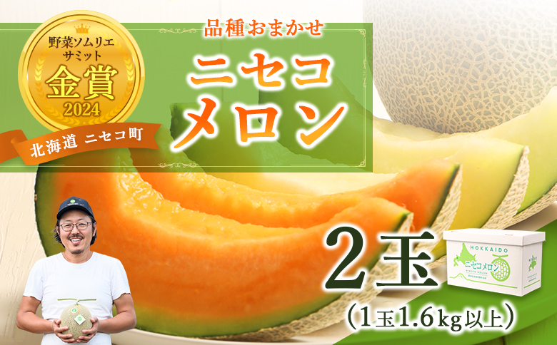 《2027年分受付中》市場には出回らない 北海道ニセコメロン 2玉 (1玉1.6kg以上) 糖度13度以上 | メロン ニセコメロン 北海道メロン 北海道産メロン 国産メロン 赤肉メロン 赤肉 青肉メロン 青肉 果物 フルーツ デザート 青果 甘い 上品 高級フルーツ 季節限定 夏 夏の味覚 2玉 2個 新鮮 フレッシュ お取り寄せ 北海道 ニセコ町 ニセコ【37001BA0101】
