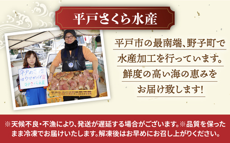 【12回定期便】平戸瀬戸物語【平戸瀬戸市場協同組合】[KAA287]/ 長崎 平戸 魚介類 ウチワエビ 海老 えび エビ サザエ ヒオウギ貝 牡蠣 カキ 定期便