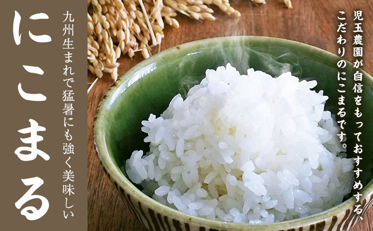 【令和7年産】『児玉農園』 にこまる5kg 5kg×1袋《10月中旬-10月末頃出荷》---sg_kodniko7_j10_25_12500_5kg---