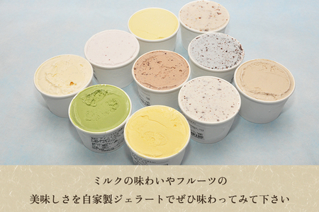 京家のイタリアンジェラート&オリジナルシャーベット おまかせ12個セット アイス アイスクリーム 氷菓 スイーツ ひんやり 有限会社京家 加茂市 