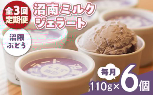 【全3回定期便】アイス 沼南ミルクジェラート 沼隈ぶどう ６個 ぶどう ブドウ アイスクリーム ジェラート デザート スイーツ マスカット ニューベリーA 果汁 ご当地 グルメ お取り寄せ 冷凍 贈答 贈り物 ギフト プレゼント お土産 濃厚 さっぱり ミルク 新鮮 果物 特産品 美味しい カップアイス 夏 冬 おやつ 贅沢 家族 誕生日 定期便  広島県福山市/甚ごろう [BAEC042]