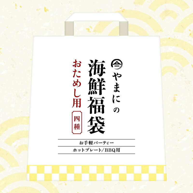【ふるさと納税】やまにの海鮮福袋 お試し（お手軽パーティ/ホットプレートやBBQ用）特製タレ付き！【魚介類 海鮮 福袋 冷凍 詰め合わせ アウトドア キャンプ】
