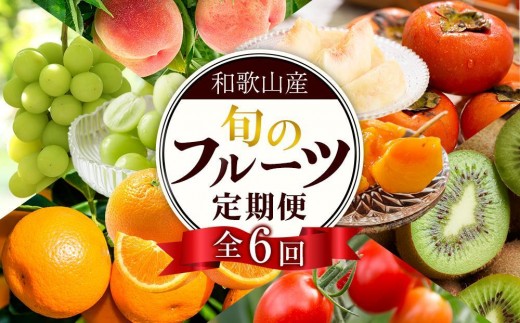 
                  和歌山の旬の果実を 奇数月にお届け全6回定期便【TM49】
                