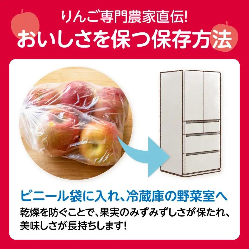 《先行受付》贈答規格「サンふじ」「ラフランス」「はるか」約5kg詰合せ（特秀～秀）【2026年12月上旬～発送予定】【大江町産・山形りんご・りんご専科 清野】 015-065