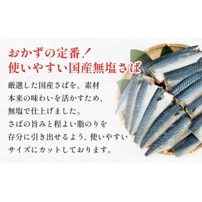 ふるさと納税 石巻市 訳あり 無塩サバフィレ 3.0kg (30枚前後)  冷凍 さば 鯖 不揃い お魚 焼き魚 |  | 01