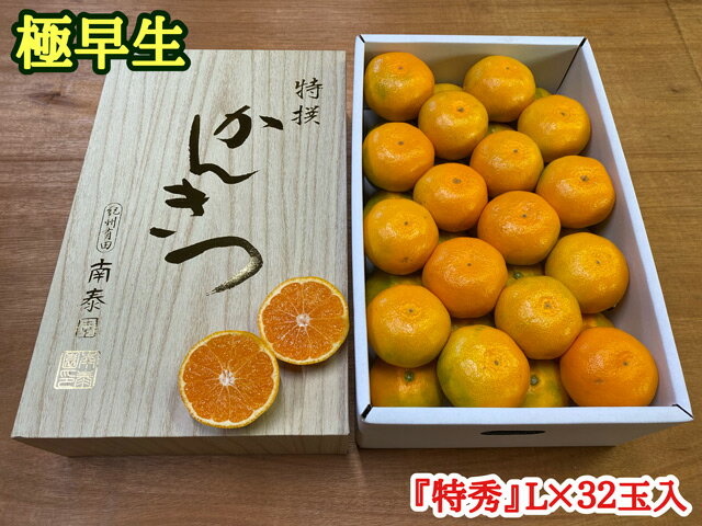【ふるさと納税】極早生 有田みかん 約4kg 『特秀』Lサイズ32玉入【ミカン 蜜柑 柑橘 温州みかん 和歌山 有田】