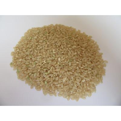 ふるさと納税 菊池市 菊池掛け干し清流米　玄米　5kg
