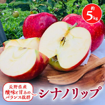 【ふるさと納税】2025年夏!りんご新品種【シナノリップ】約5kg　酸味と甘みのバランス抜群_ りんご 林檎 果物 くだもの フルーツ 新品種 シナノリップ 人気 おすすめ 送料無料 長野 信州 冷蔵 夏 贈答 ギフト 【配送不可地域：離島】【1401201】