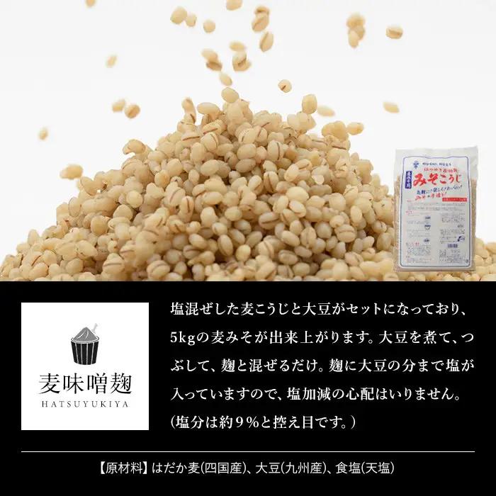 麦みそこうじ5kg 麦みそ1kg付き 国産 味噌 保存料・酒精等無添加 調味料 【はつゆき屋】No.006 