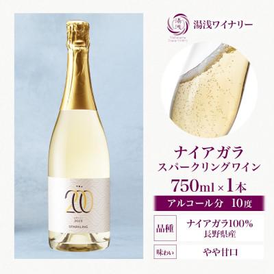 ふるさと納税 湯浅町 スパークリングワイン ナイアガラ 10度 750ml 1本 果実酒 発泡ワイン 湯浅ワイナリー |  | 03