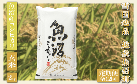 【定期便：雪国逸品 玄米２Kg×12ヶ月】越後魚沼郷 魚沼産コシヒカリ お米 ブランド米 銘柄米 ご飯 おにぎり お弁当 和食 産地直送 香り つや 粘り 